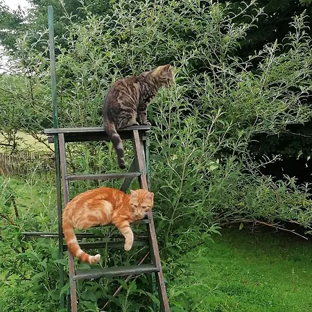 La Libellule Bed & Breakfast 3*