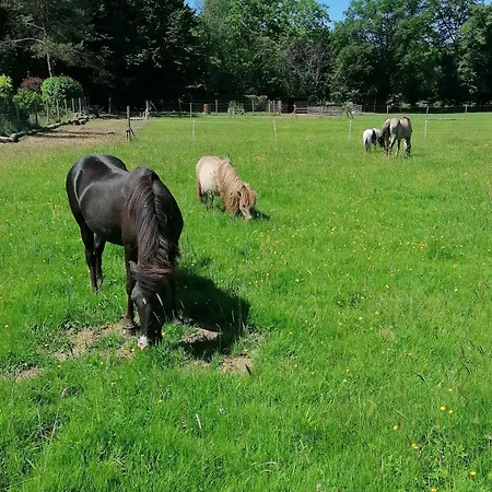 La Libellule 3* Couvin
