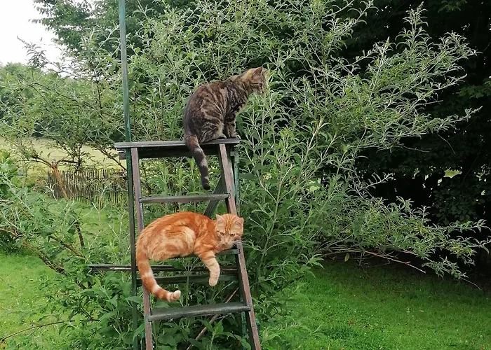 La Libellule Alojamento de Acomodação e Pequeno-almoço 3*
