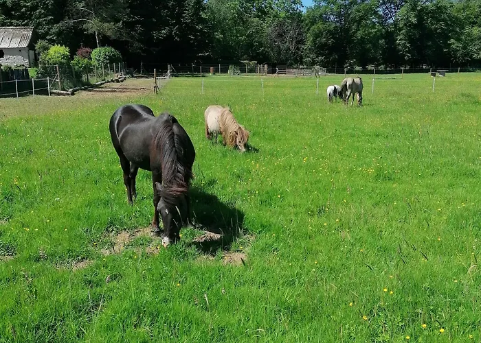 La Libellule 3* Couvin